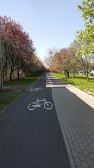 Ścieżka rowerowa - obrazy, fototapety, plakaty