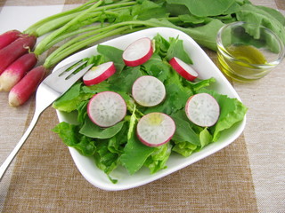 Frischer Radieschensalat
