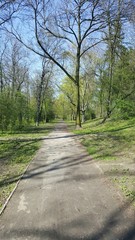 Fototapeta na wymiar Droga w parku