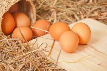 Fresh eggs from the farm in the hay