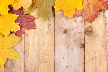 Autumn leaves on the background of a old wood floor