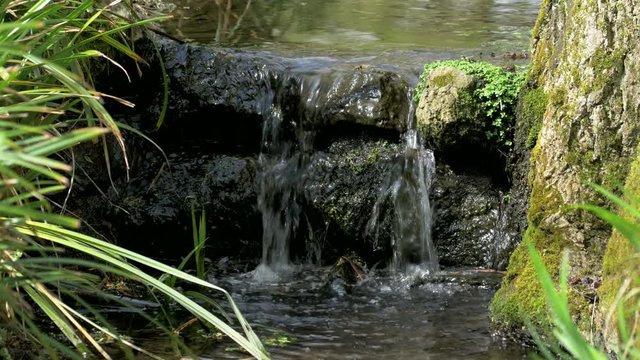 Small waterfall on a narrow flowing stream or babbling brook.