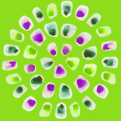 Watercolor circle hand paint frames isolated on green background.