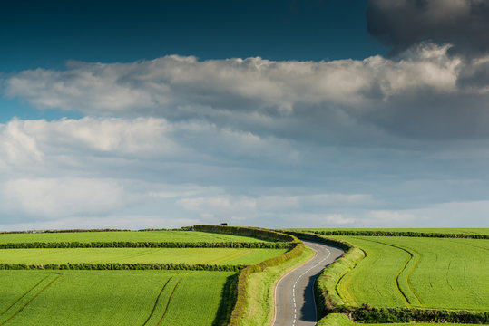 Rural Road On Rolling Hills In Countryside