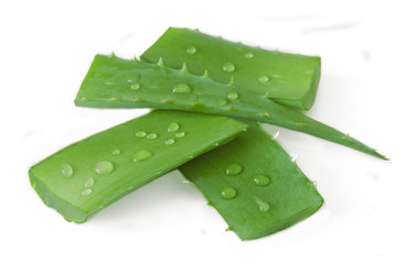 Aloe Vera leaves isolated on white background