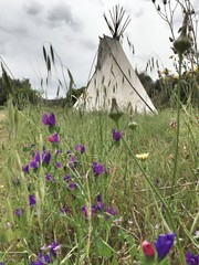 teepee in a field