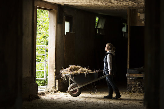 Woman in stables