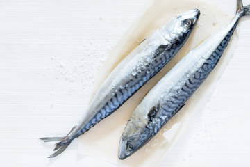 Fresh raw fish and sea salt on the paper, top view. The concept