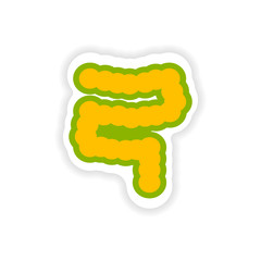 paper sticker on white background human intestine
