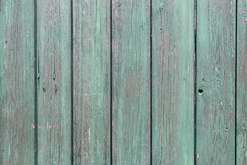 The old green wood texture with natural patterns
