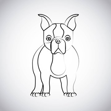 french bulldog design 