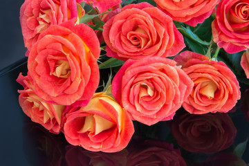 Soft full blown red-orange roses on black background