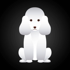 french poodle design 
