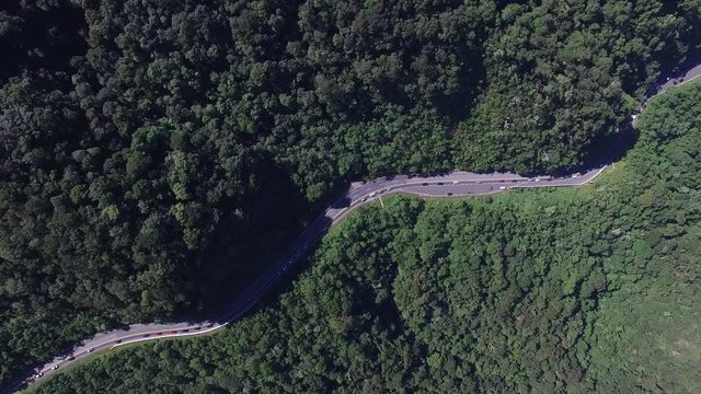 Top View of Highway in a Forest