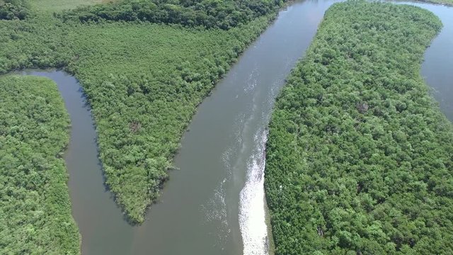 Aerial view of the Amazon rainforest, Brazil