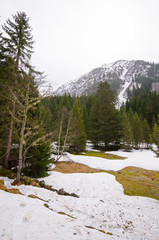 alpage de Nant Bonnant, Contamines montjoie, haute-savoie, france