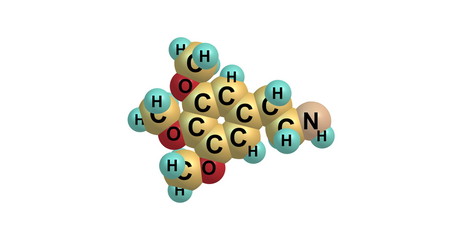 3D illustration of Mescaline molecular structure isolated on white