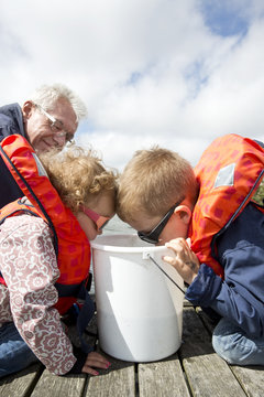 Children looking into bucket, grandfather in background