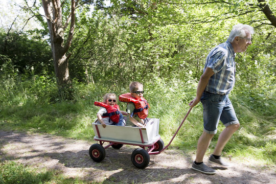 Grandfather pulling children in cart