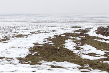 snow on the ground in nature