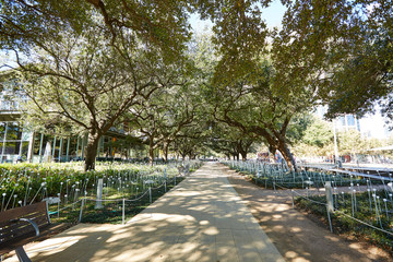 Houston Discovery green park in downtown