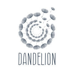 Obraz premium Abstract fluffy dandelion flower logo. Vector illustration