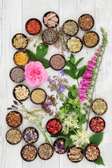 Medicinal Herbs and Flowers