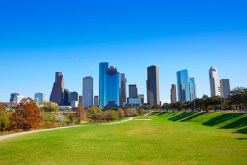 Houston skyline in sunny day from park grass