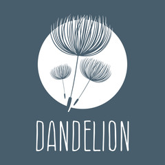 Abstract fluffy dandelion flower logo. Vector illustration
