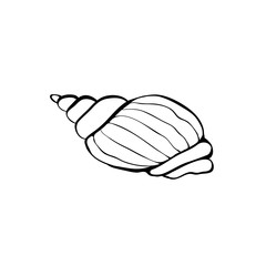 Sea shell icon