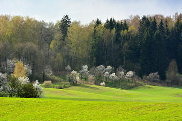 Fototapeta na wymiar Colorful spring landscape