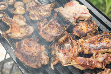 Grilled Meat Barbecue