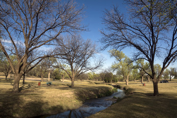 Picnic area under large trees pecan in Mackenzie Park, Lubbock,