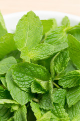 ハーブ　スペアミント