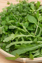 ハーブ　セルバチコ