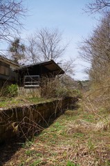 Obraz premium 枯れ草と廃駅