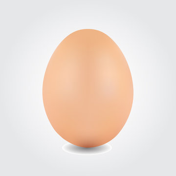 Beautiful egg illustration on white background