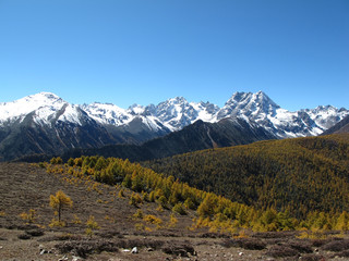Fototapeta premium Baimang Snow Mountain Nature Reserve, Diqing, Yunnan, China