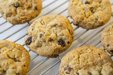 Oatmeal cookies on Cooling Rack