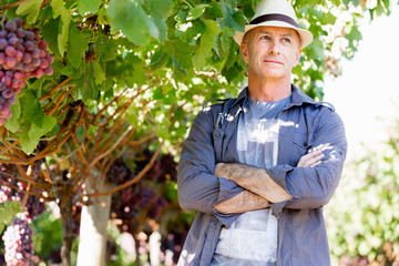 Man standing in vineyard