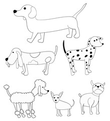 A set of 6 doodle dog cartoon hand drawn illustrations.  There is a: poodle, basset hound, weiner dog or dachshund, chihuahua, dalmation and bulldog.