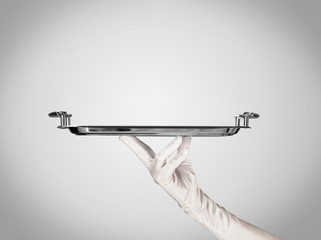 Presentation on plate by stylish hand