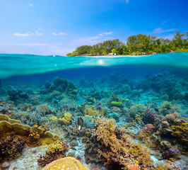 Fototapeta na wymiar tropical beach on island Meno,Indonesia under and above water.