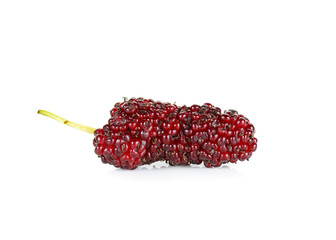 mulberry isolated on the white background