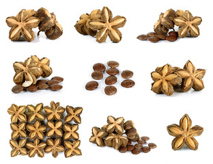sacha inchi peanut seed on white background