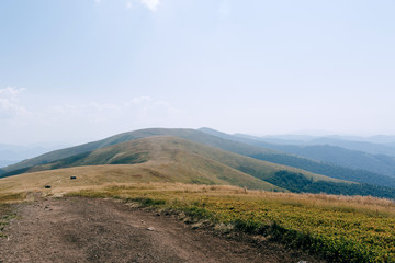 Green mountains road , hills, travel, landscape
