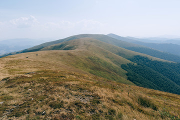 autumn mountains, hills