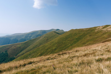 Fototapeta premium autumn mountains, hills