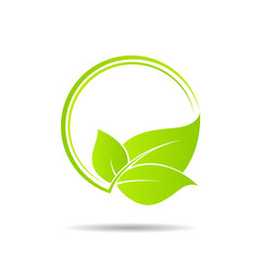 Ecology frame icon with green leaves for label or tag designing