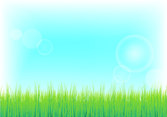 Fototapeta na wymiar Green Grass and blue sky background